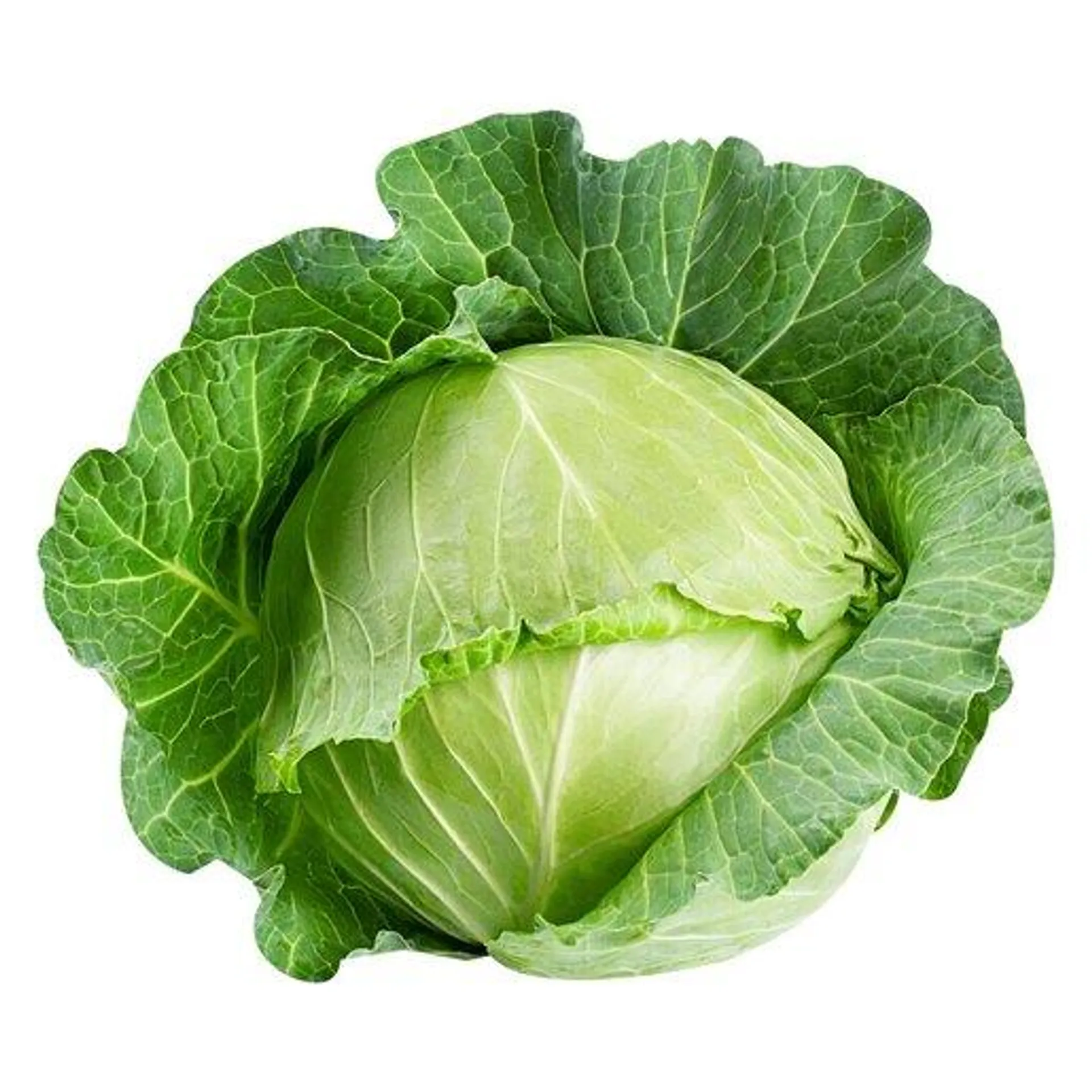 PnP Cabbage Head