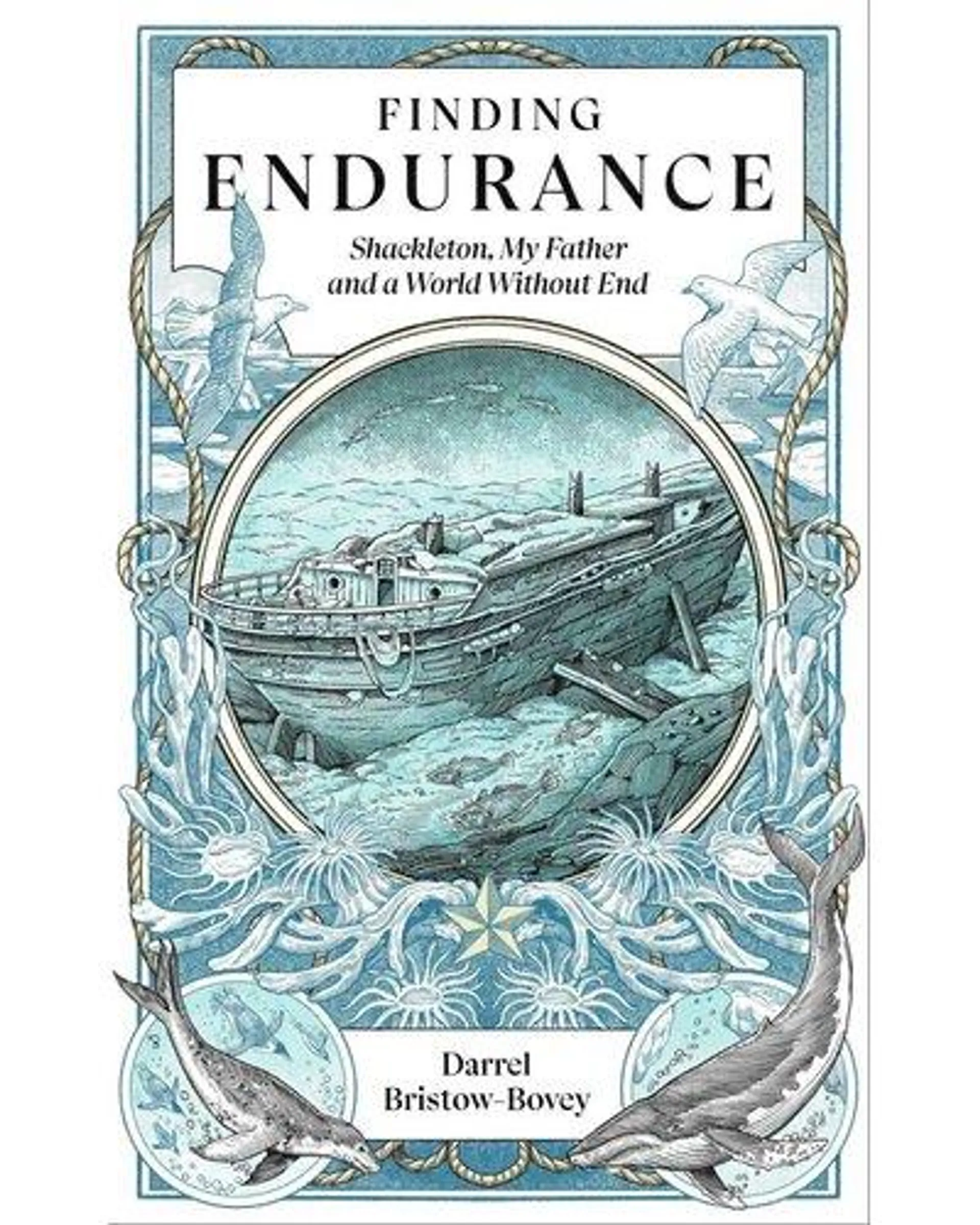 Finding Endurance - Shackleton, My Father And A World Without End (Paperback)