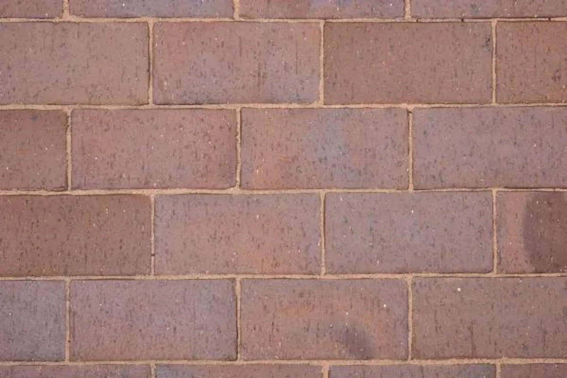 Paver Brick Nutmeg 50mm