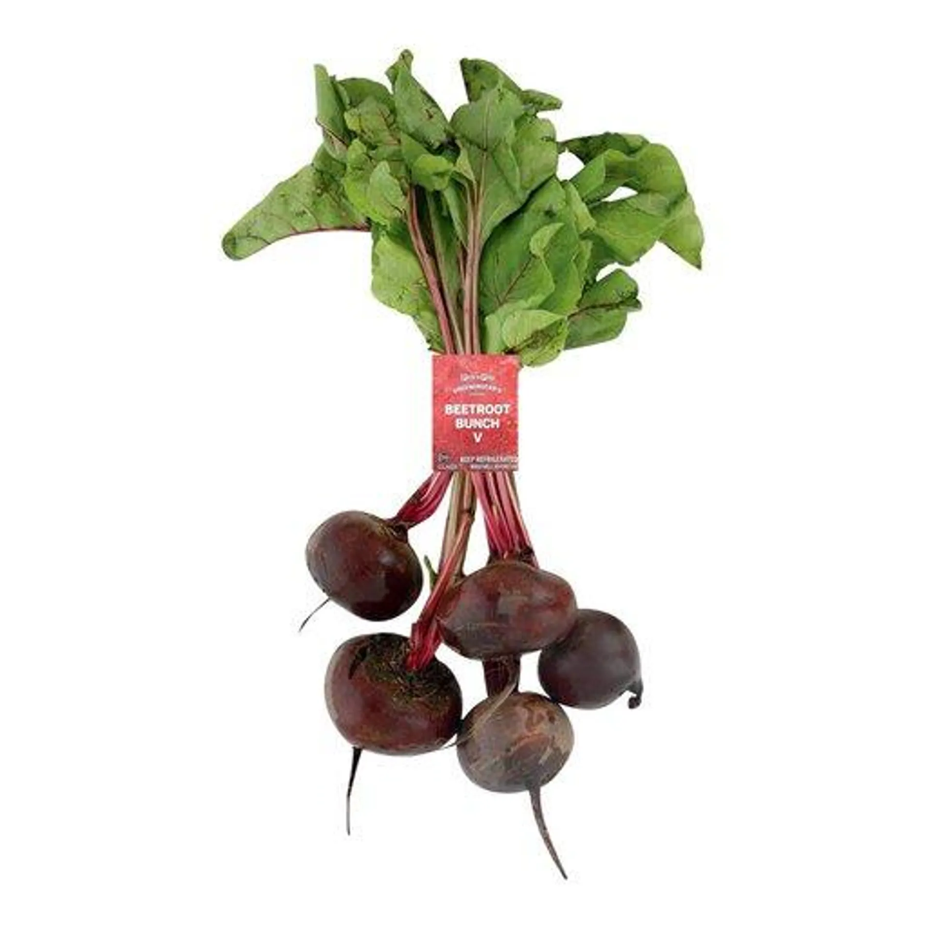 PnP Beetroot Bunch