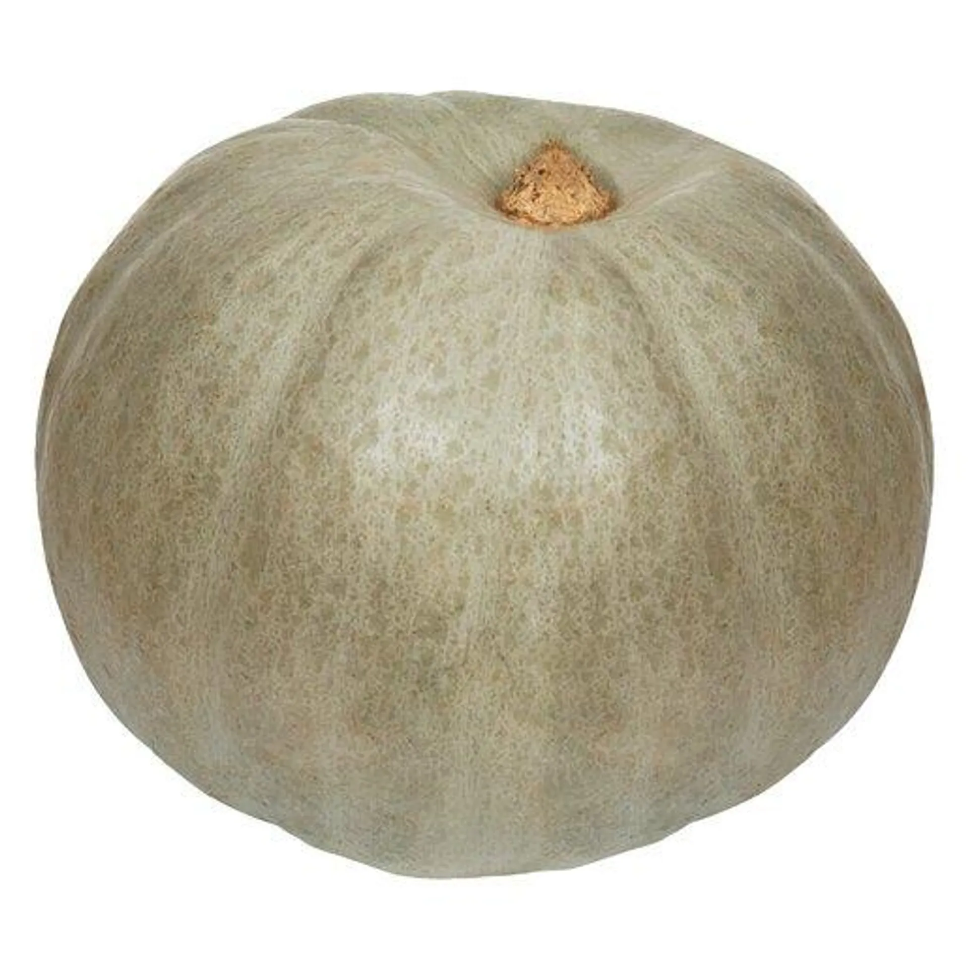 PnP Blue Pumpkin