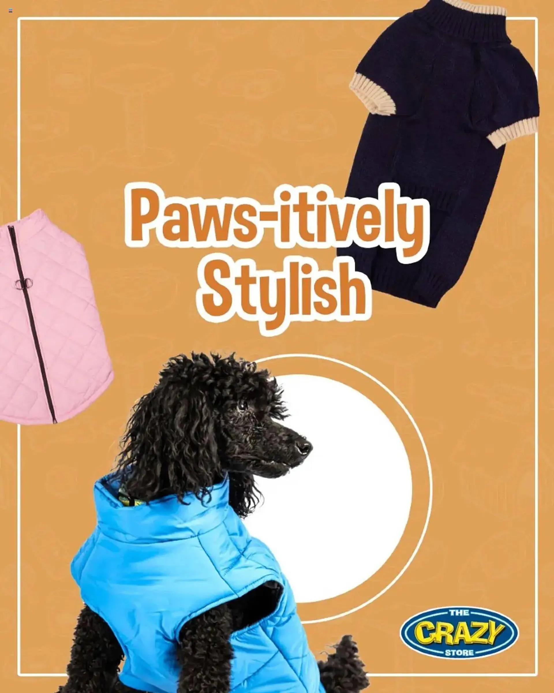 The Crazy Store catalogue - 1