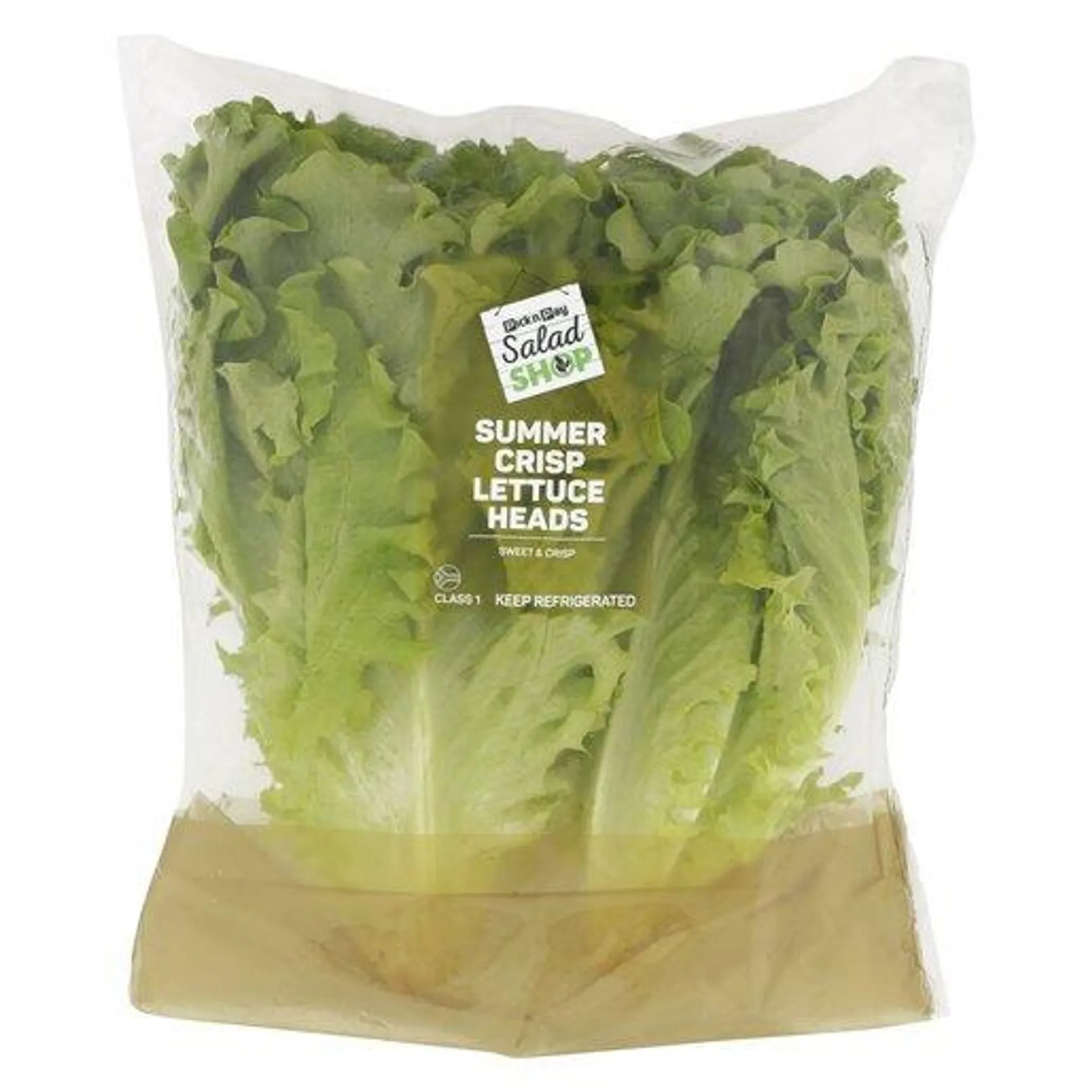 PnP Summer Crisp Lettuce Heads