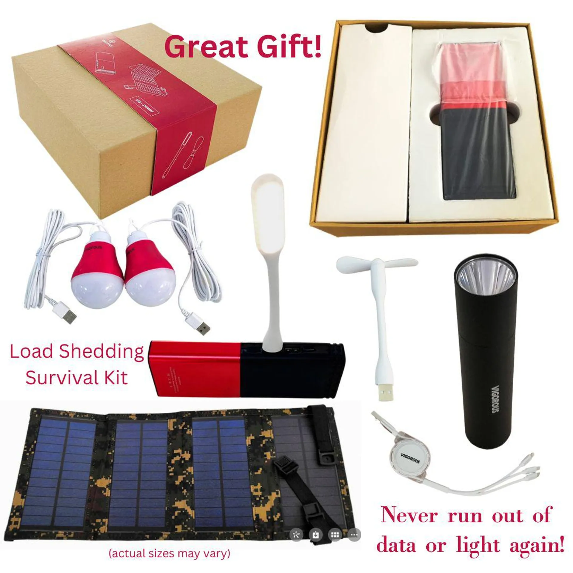 Lifespace VG Solar Power Kit with Solar Panel, Power Banks & Accessories - Gold