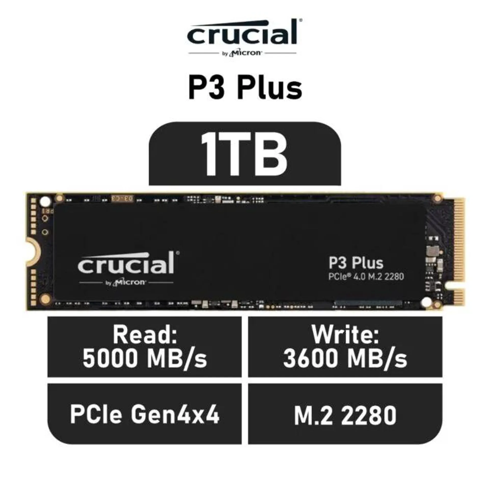 Crucial P3 Plus 1TB PCIe Gen4x4 CT1000P3PSSD8 M.2 2280 Solid State Drive