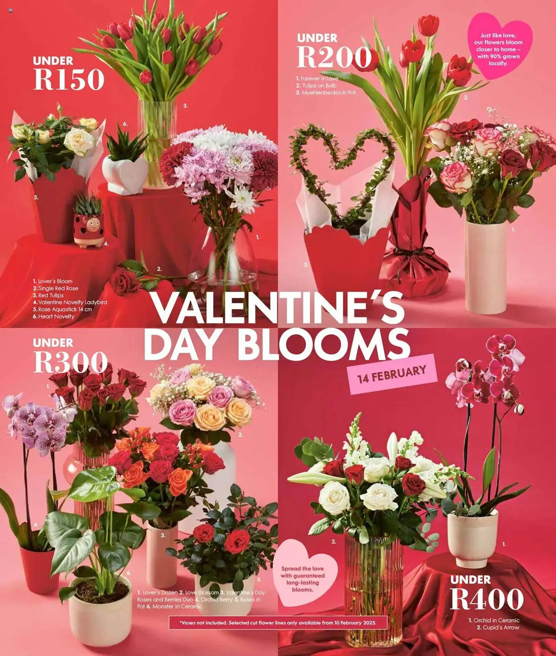 Woolworths catalogue from 3 February to 23 February 2025 - Catalogue Page 1
