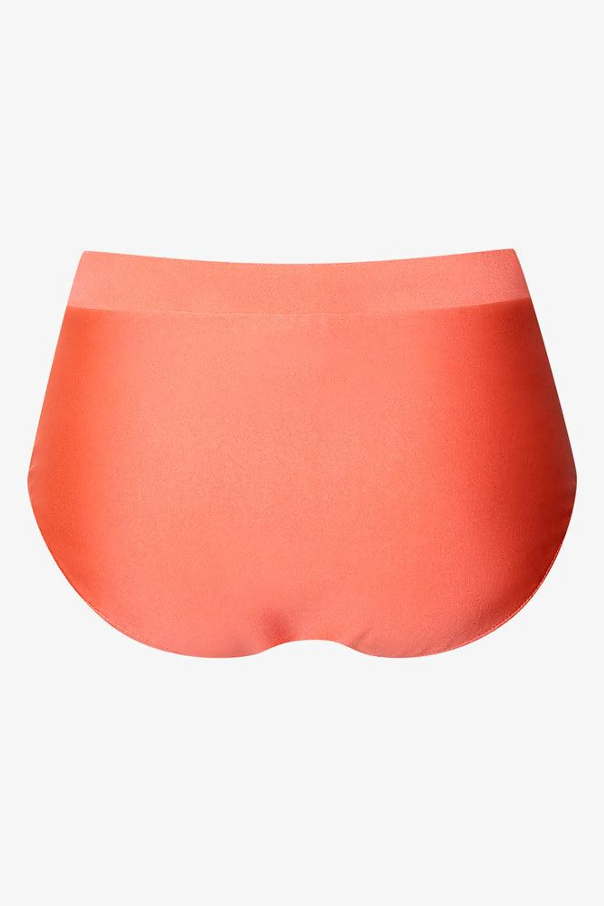 Shimmer Full Brief Bottom Pink