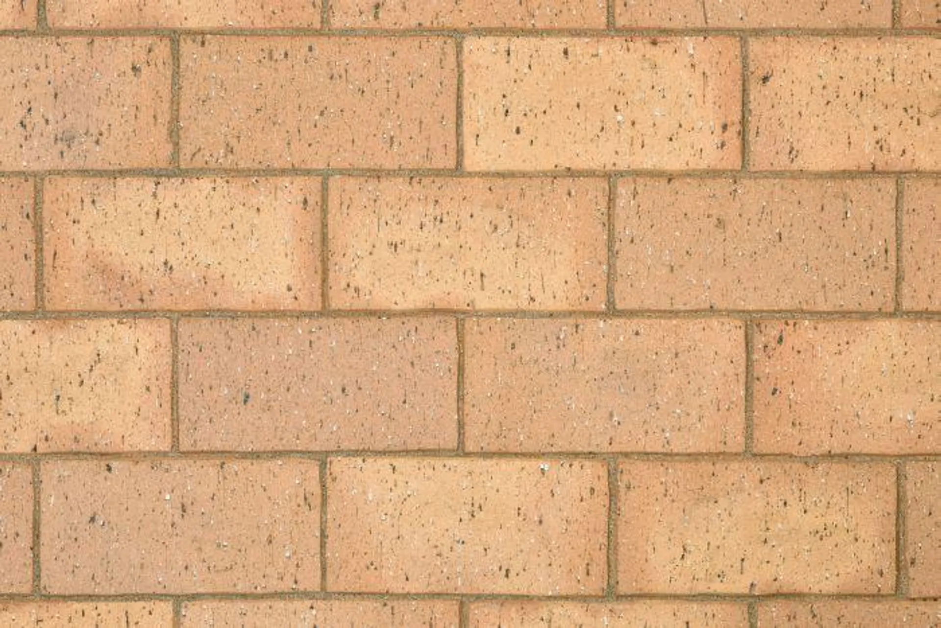 Brick Cederberg 50mm Paver