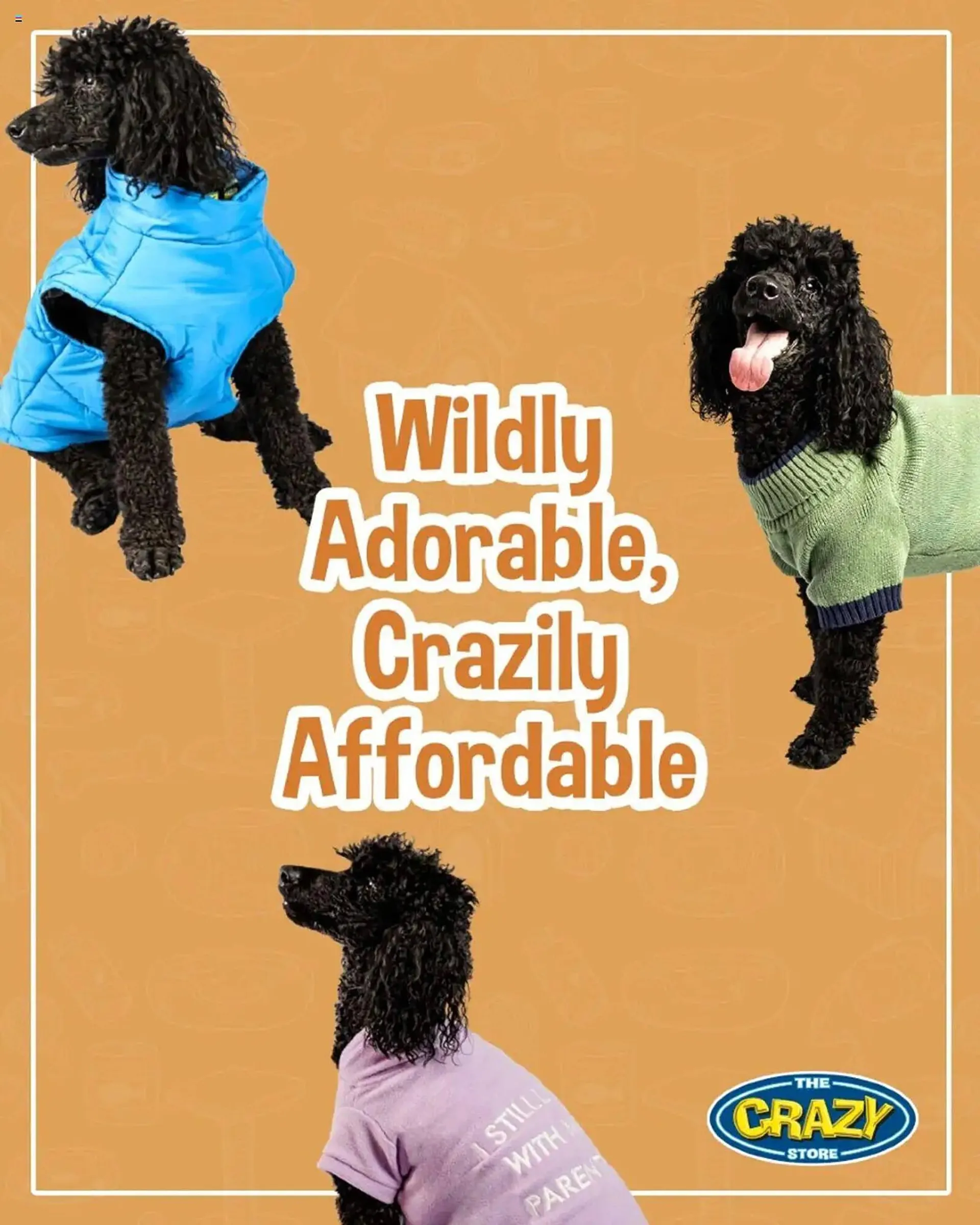 The Crazy Store catalogue from 19 May to 27 May 2025 - Catalogue Page 1