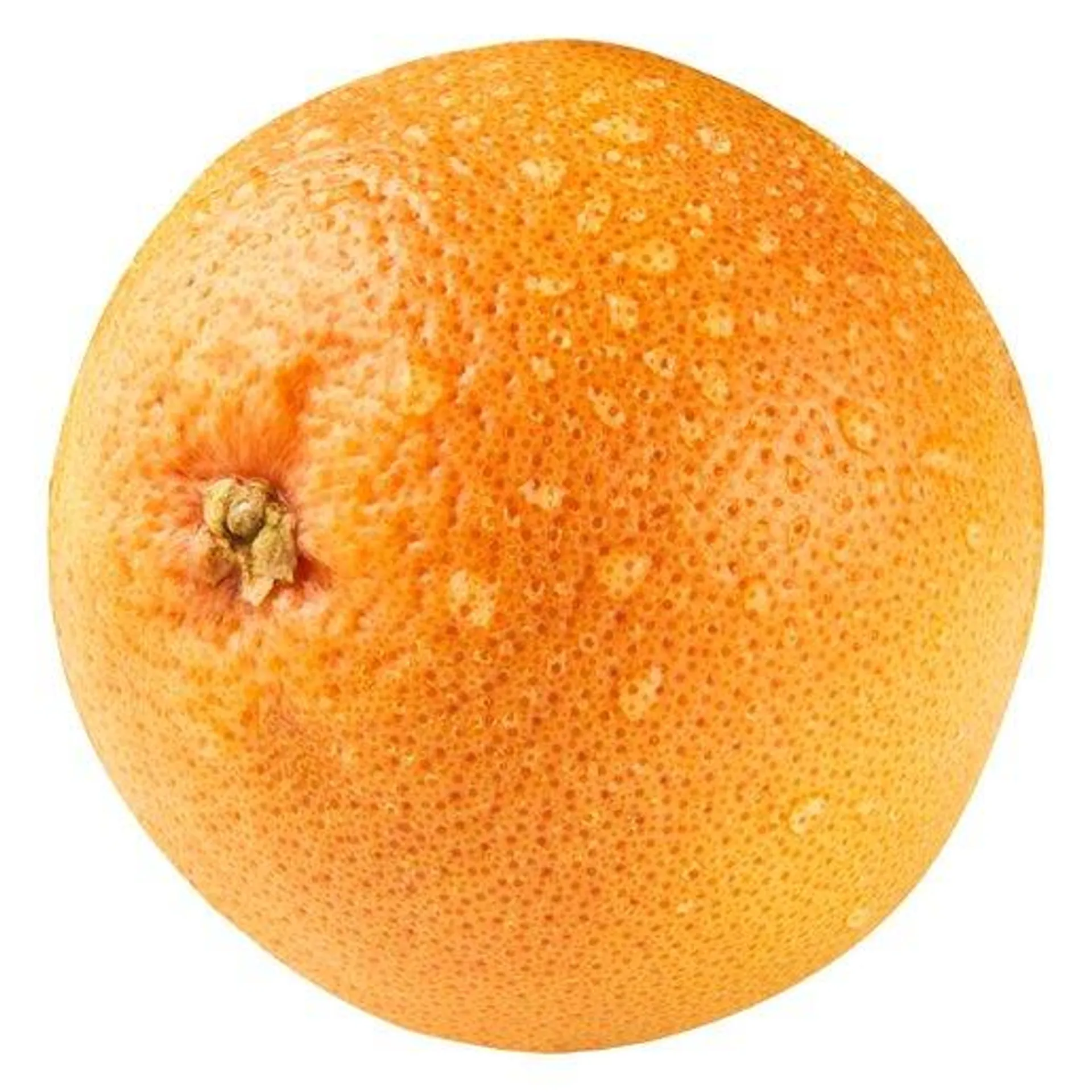 PnP Citrus Grapefruit Shaddock Large