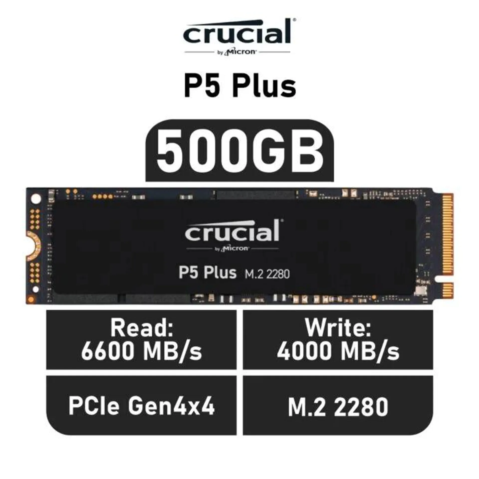 Crucial P5 Plus 500GB PCIe Gen4x4 CT500P5PSSD8 M.2 2280 Solid State Drive