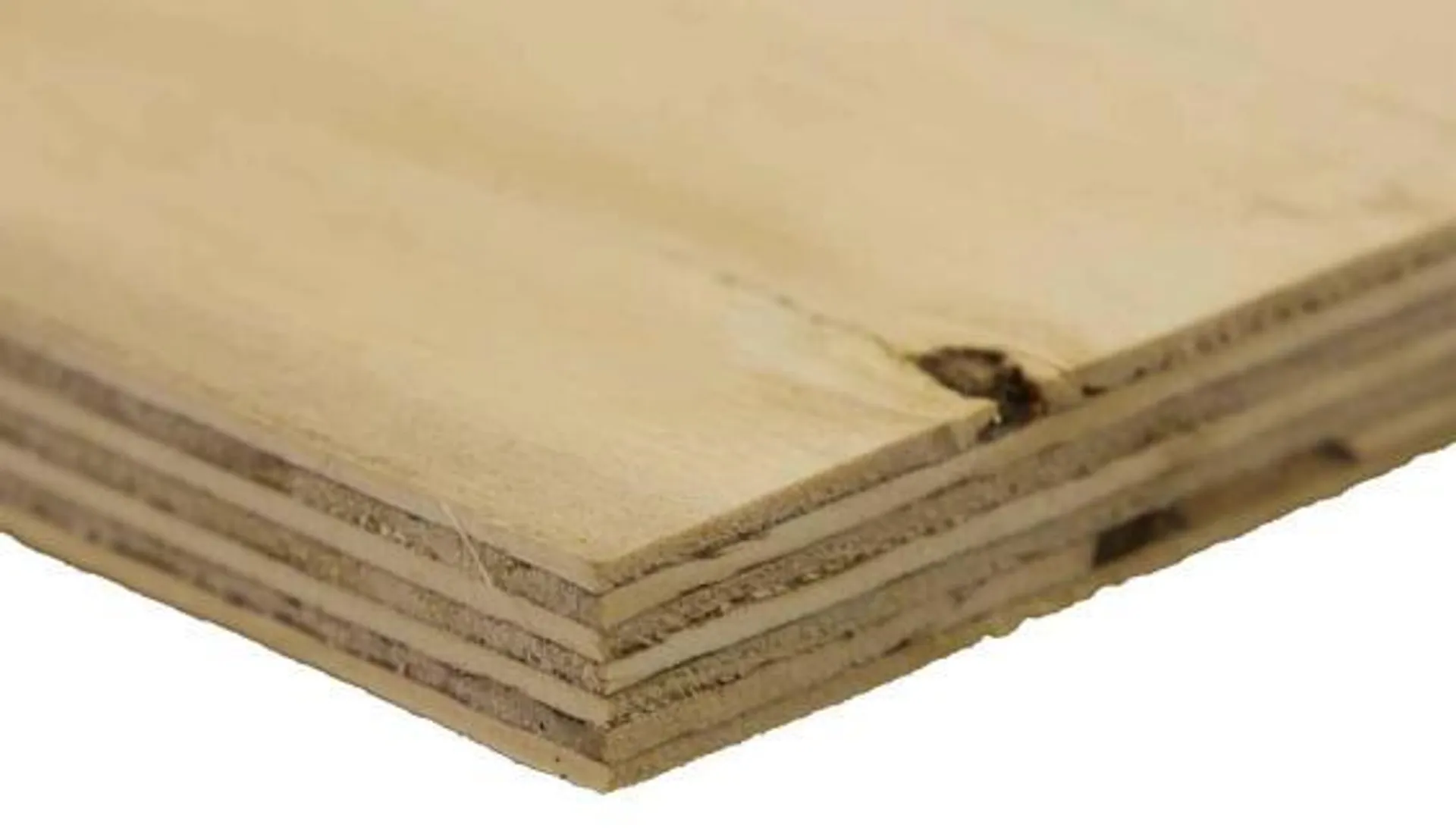 Pine Shutterply Board C+C Grade T18mm x W1220mm x L2440mm