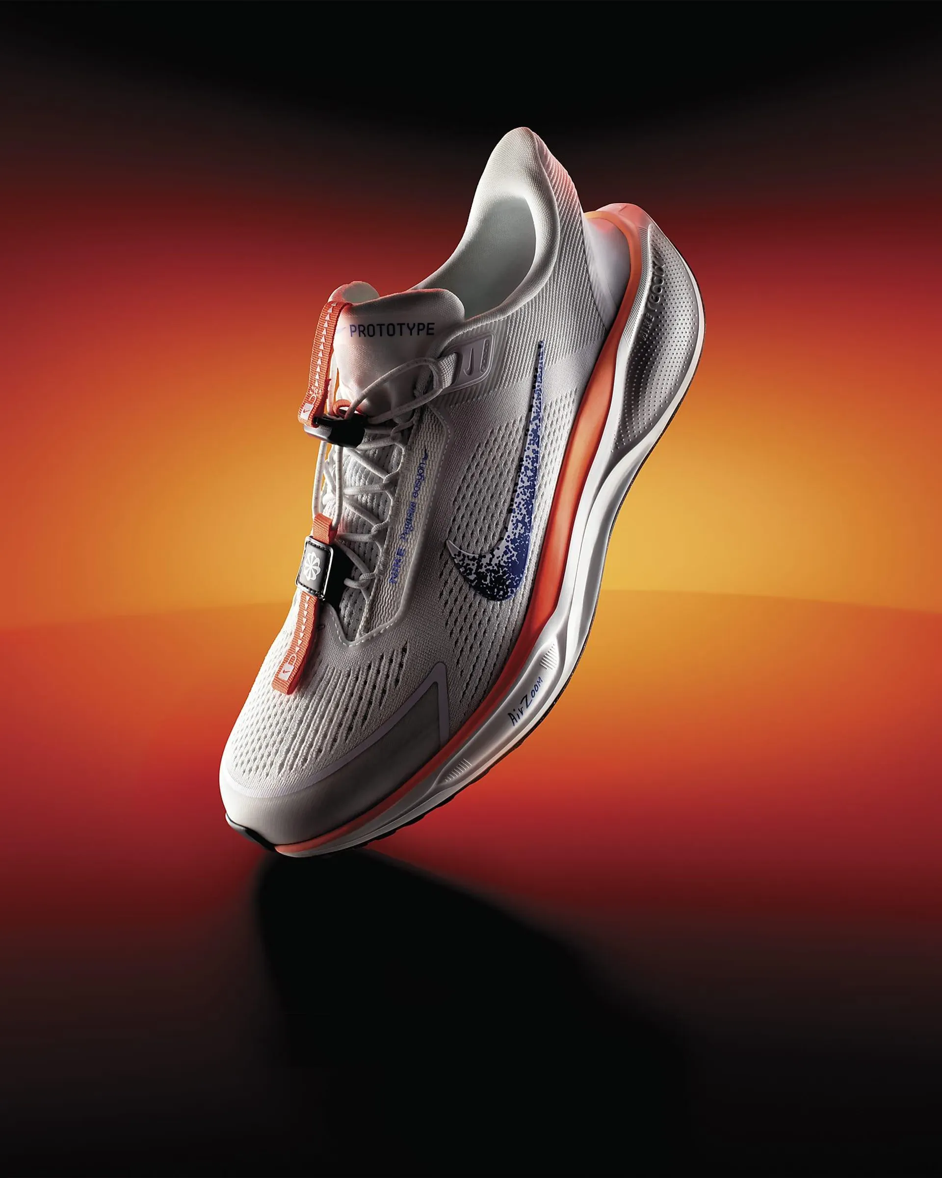 Nike Pegasus EasyOn Blueprint