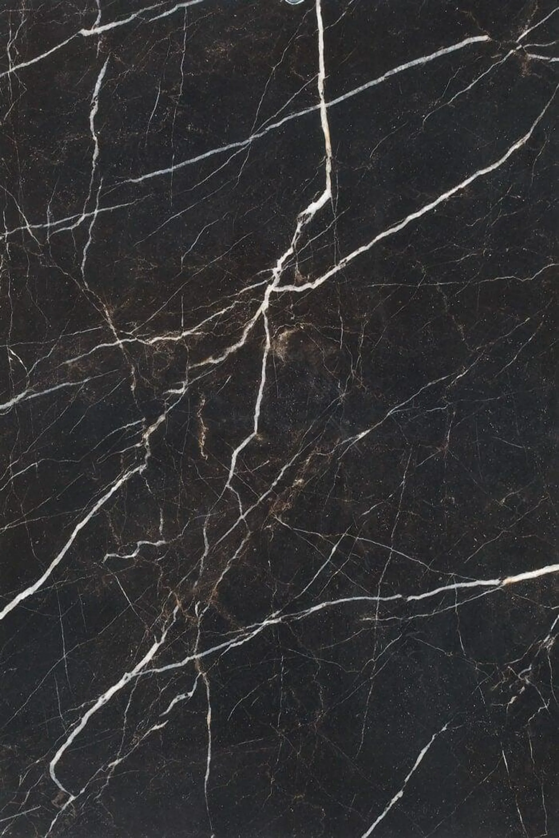 Nero Marquina Polished