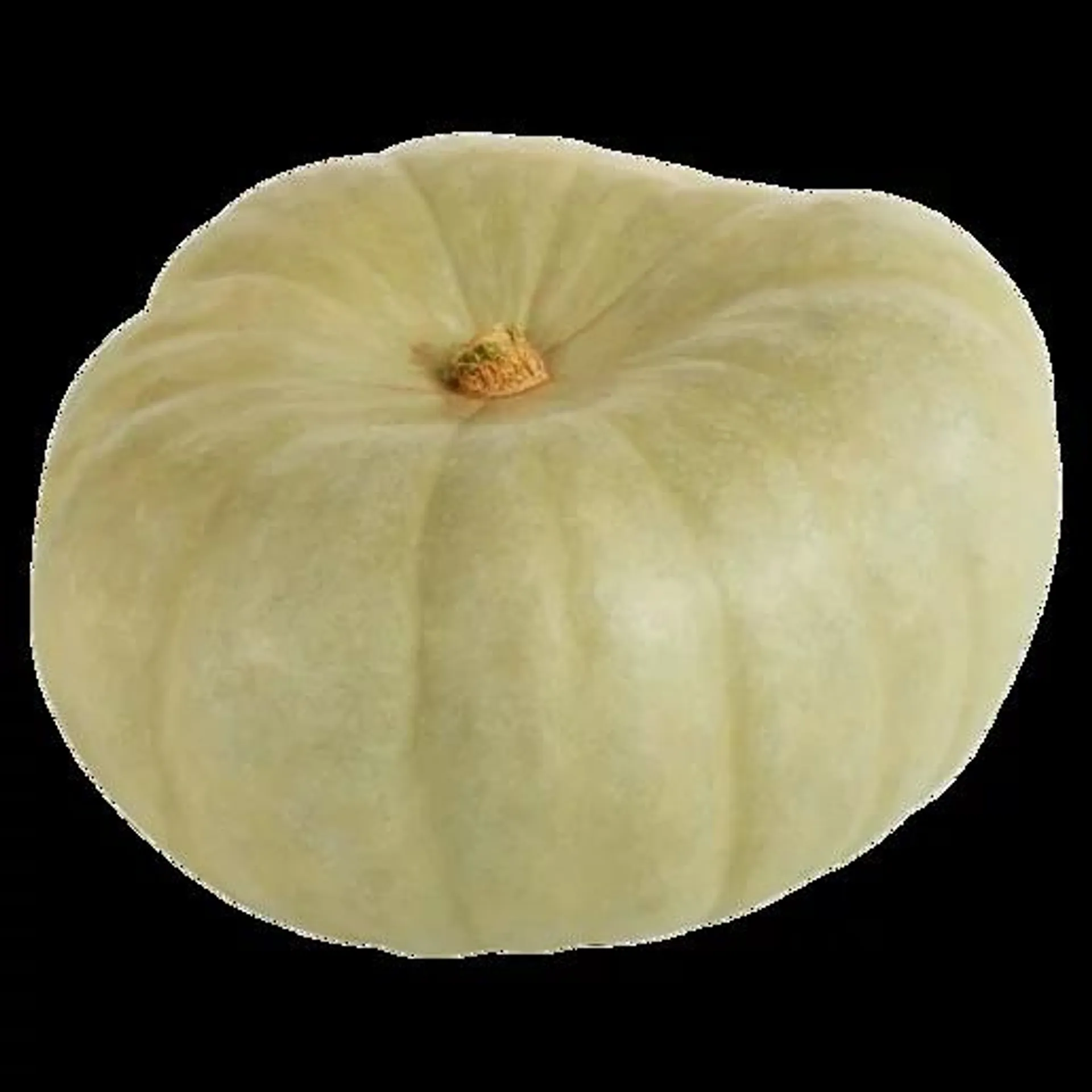 Queen Blue Pumpkin Single