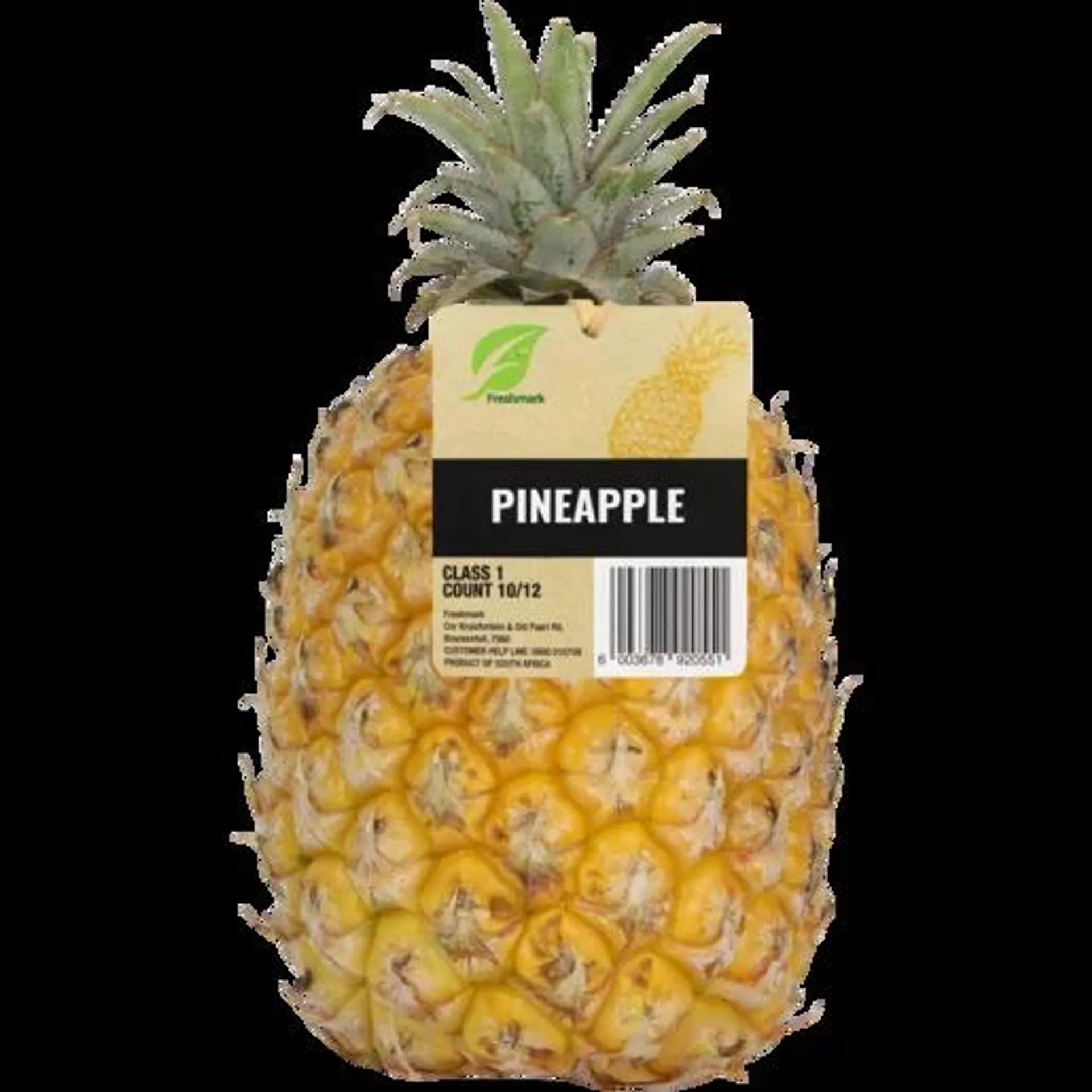 Medium Queen Pineapple Single