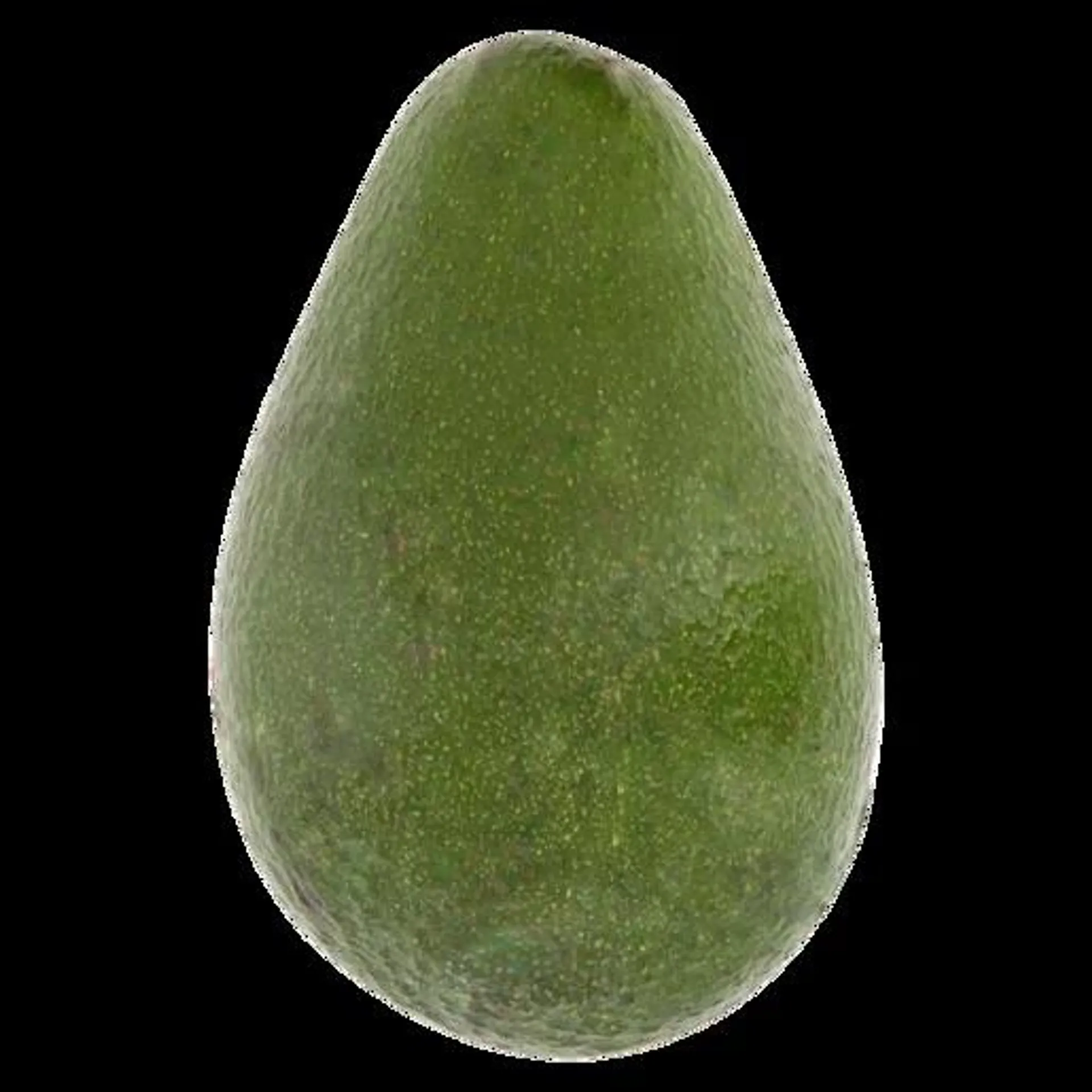 Small/Medium Avocado