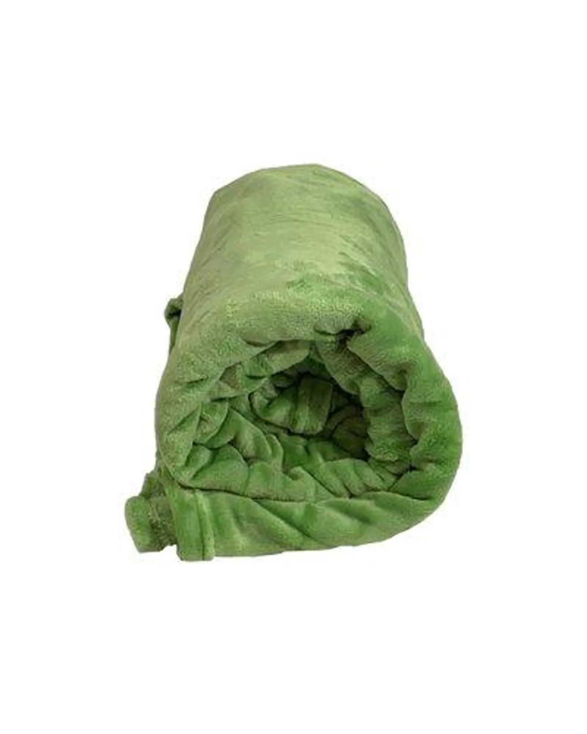 Loriene Coral Fleece Blanket (Light Green)