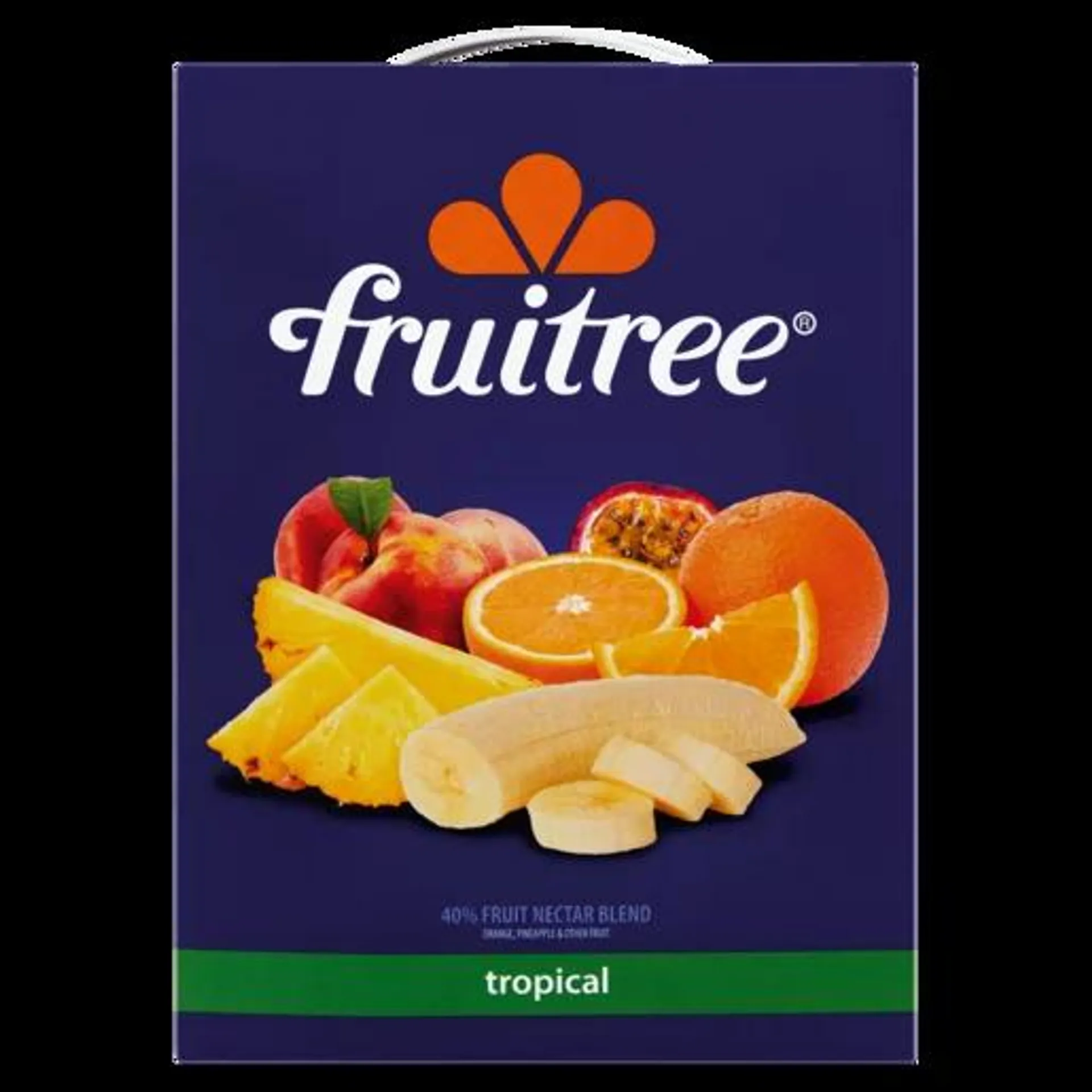 Fruitree Tropical Fruit Juice Carton 5L