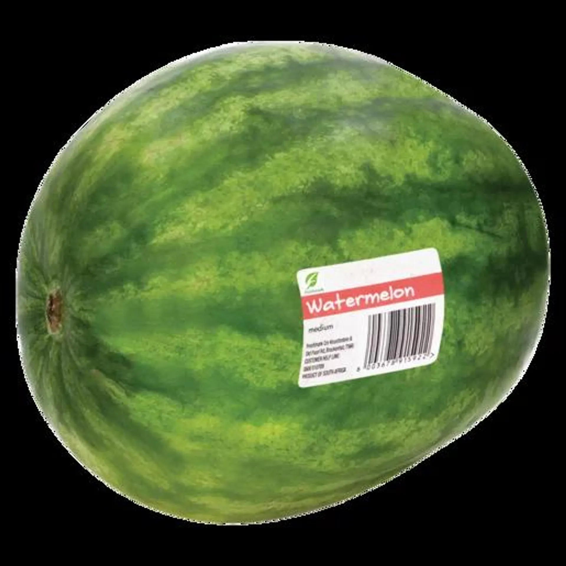 Single Medium Watermelon