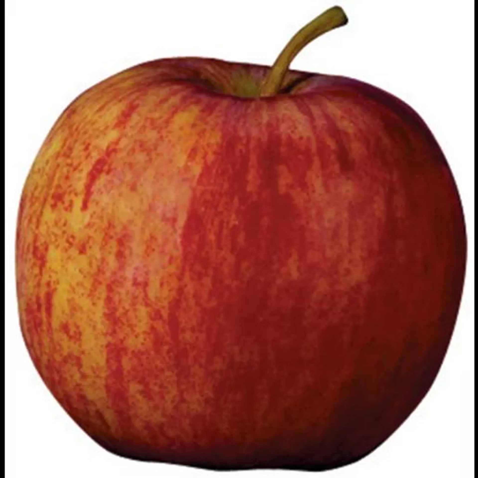 Starking Extra Large Apple Single