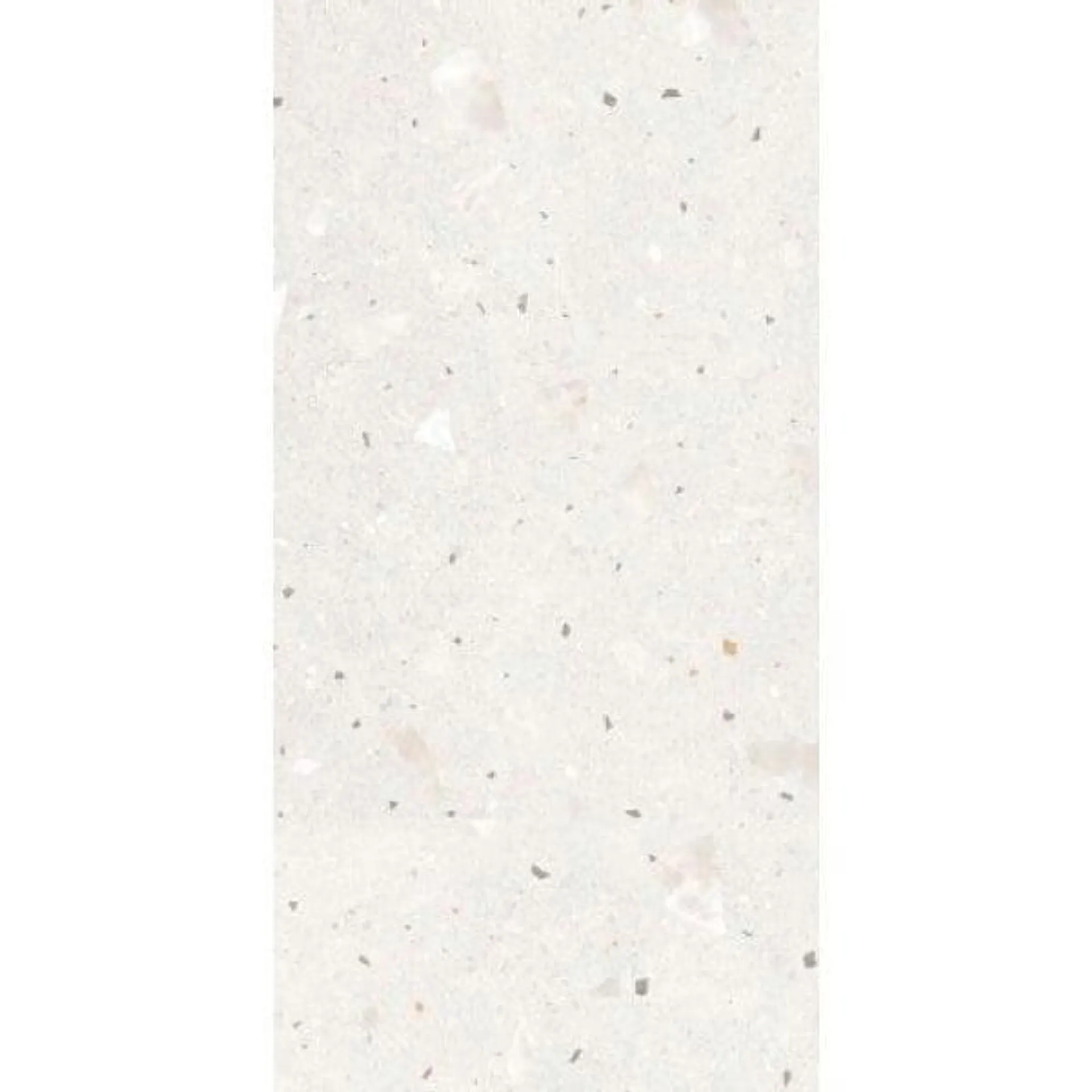 Terrazzo Toast