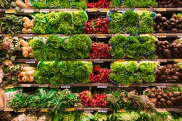 Lidl Česká republika smart buys: cenově dostupné potraviny a základní potřeby
