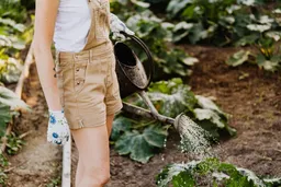 5 herramientas que no pueden faltar en tu jardín