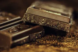 Tras las huellas del cacao: el mundo del chocolate peruano