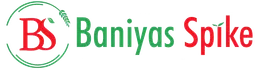 baniyas sform pike hypermarket logo