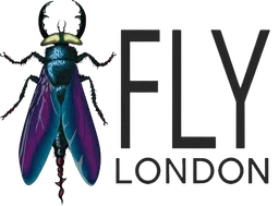 fly london logo