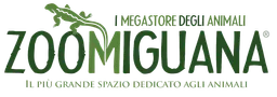 zoomiguana logo