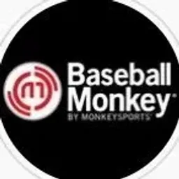 baseballmonkey logo