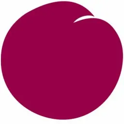 plum market logo