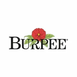 burpee logo