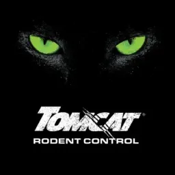 tomcat logo