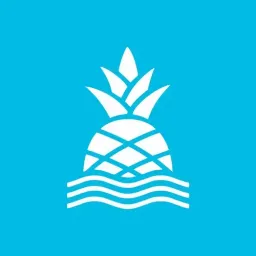chubbies shorts logo