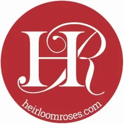 heirloom roses logo