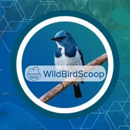 wildbird logo