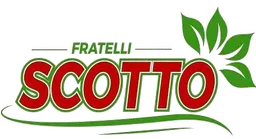 supermercato fratelli scotto logo