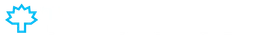 timanttiset logo