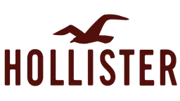 hollister logo