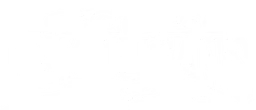 dr. killigan's logo