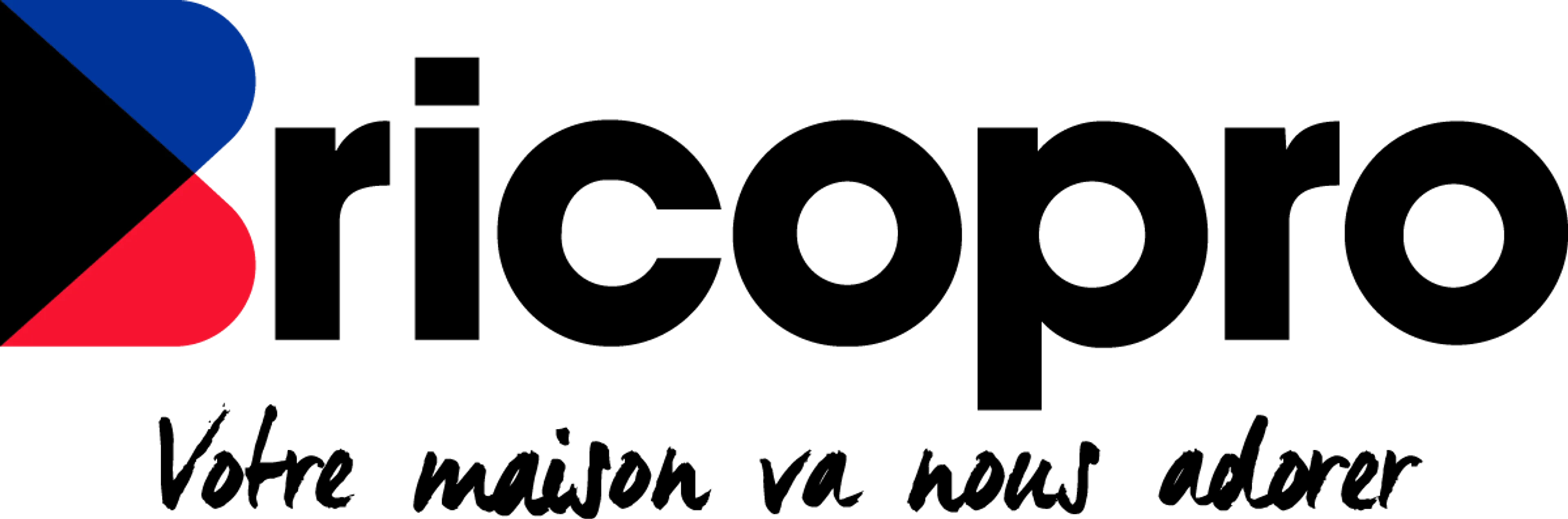 BRICO PRO logo