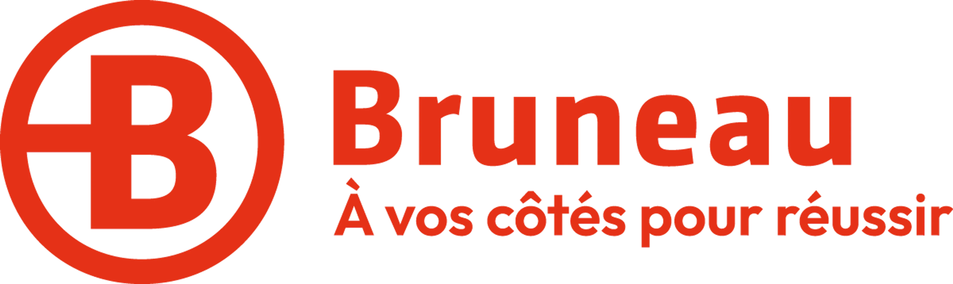 BRUNEAU logo