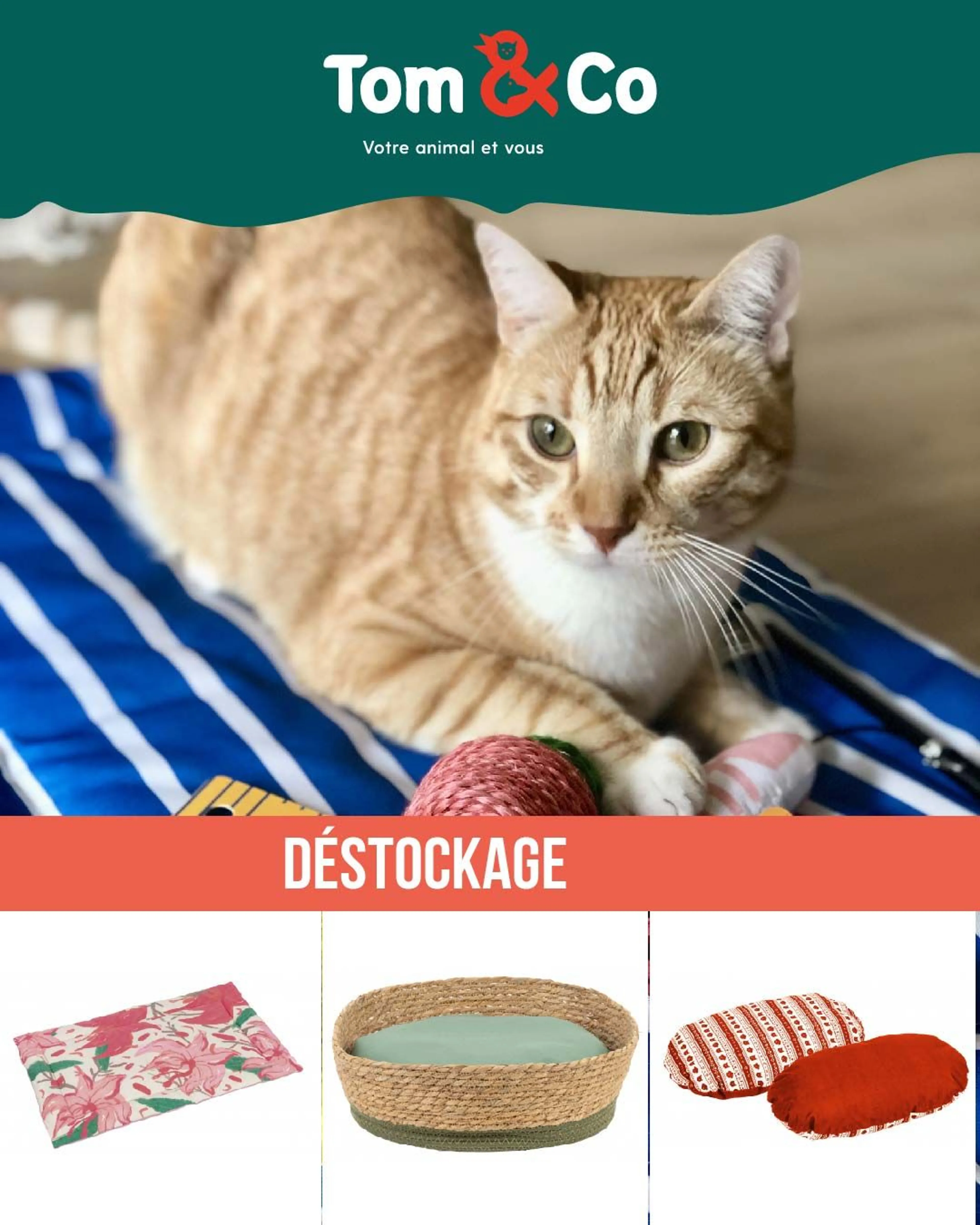 Brochure Cover