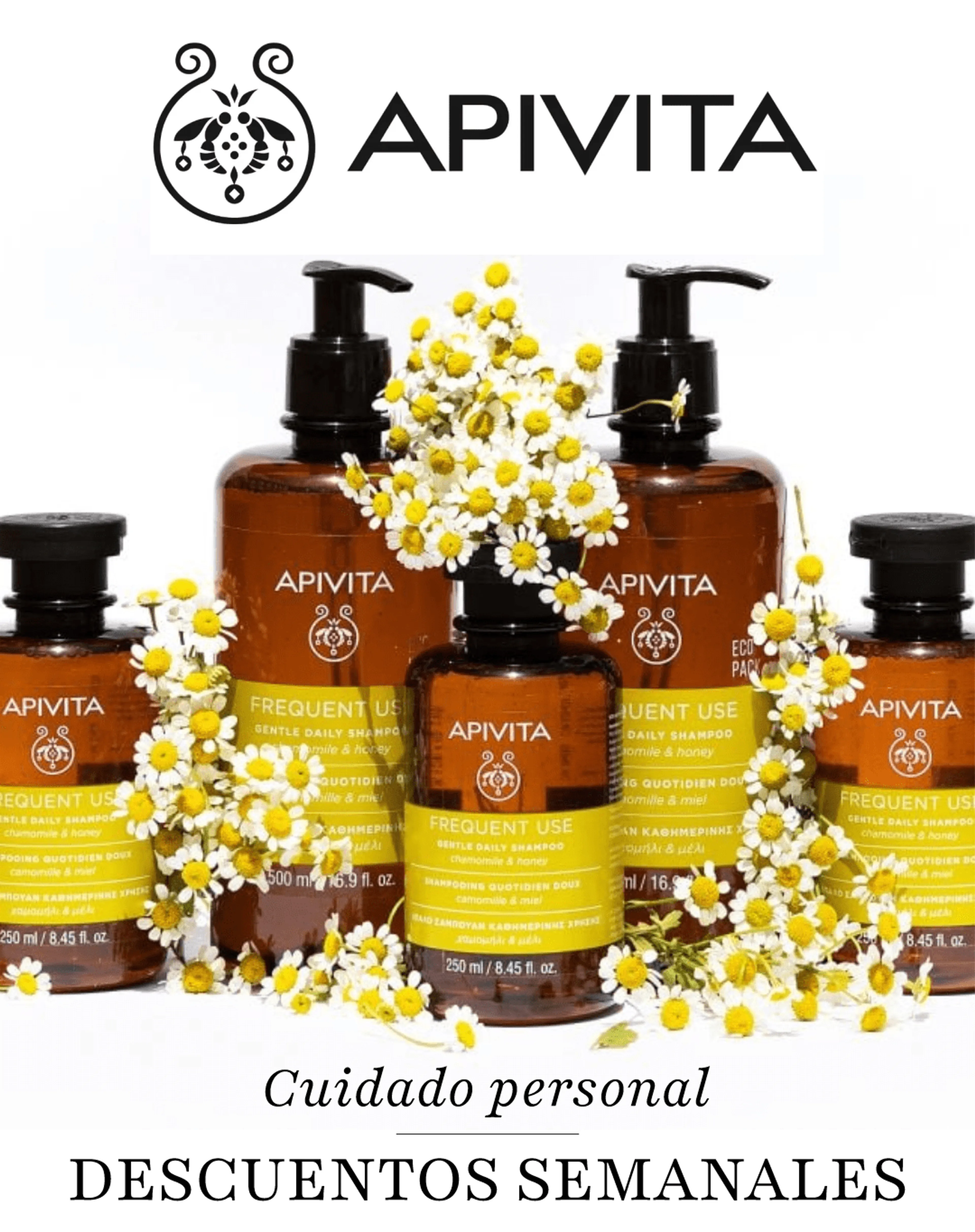 Brochure Cover