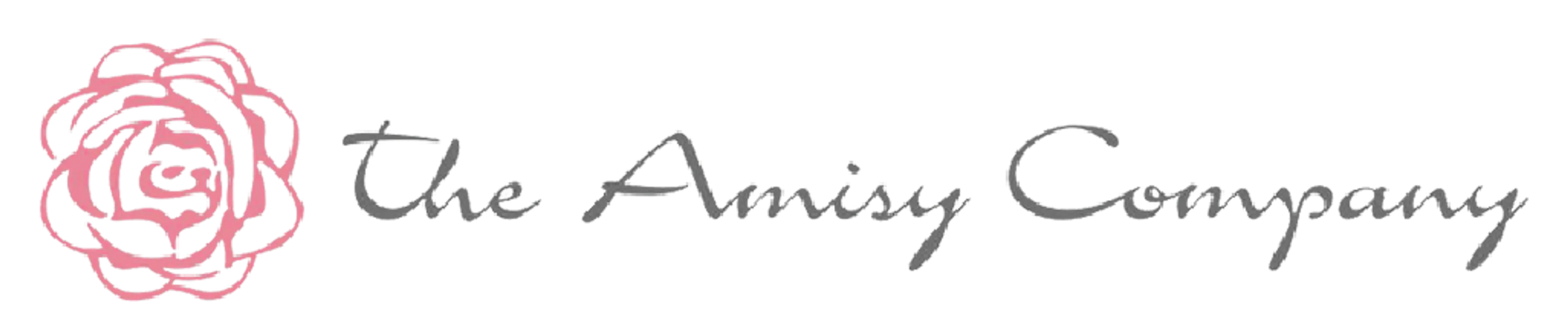 THE AMISY COMPANY logo