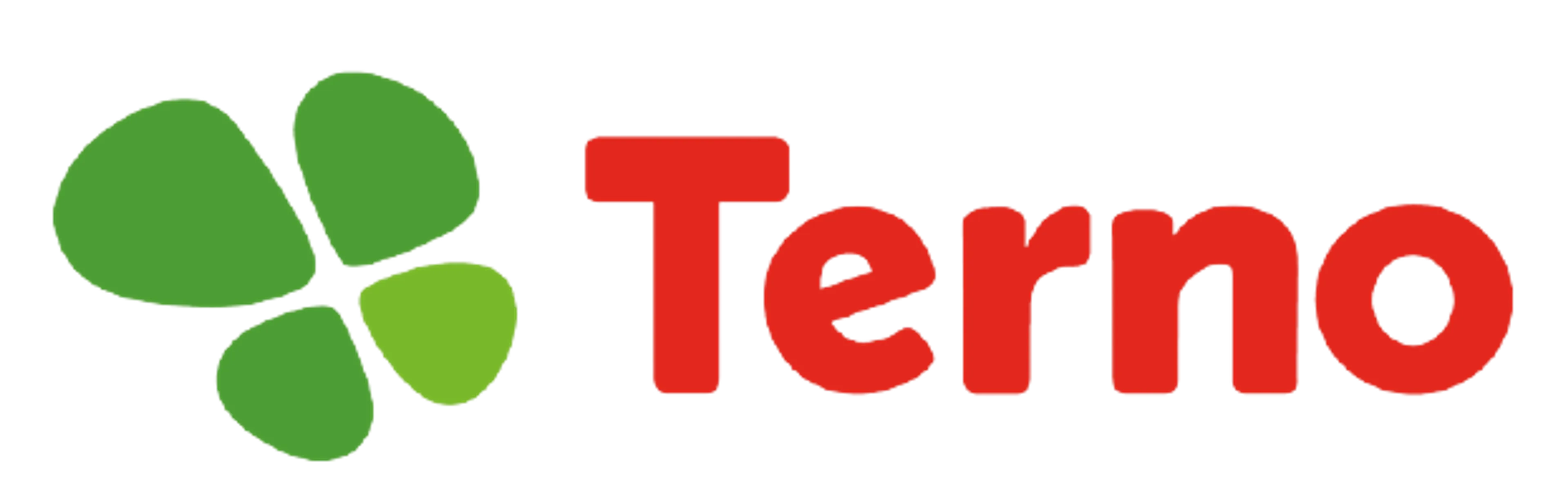 TERNO logo