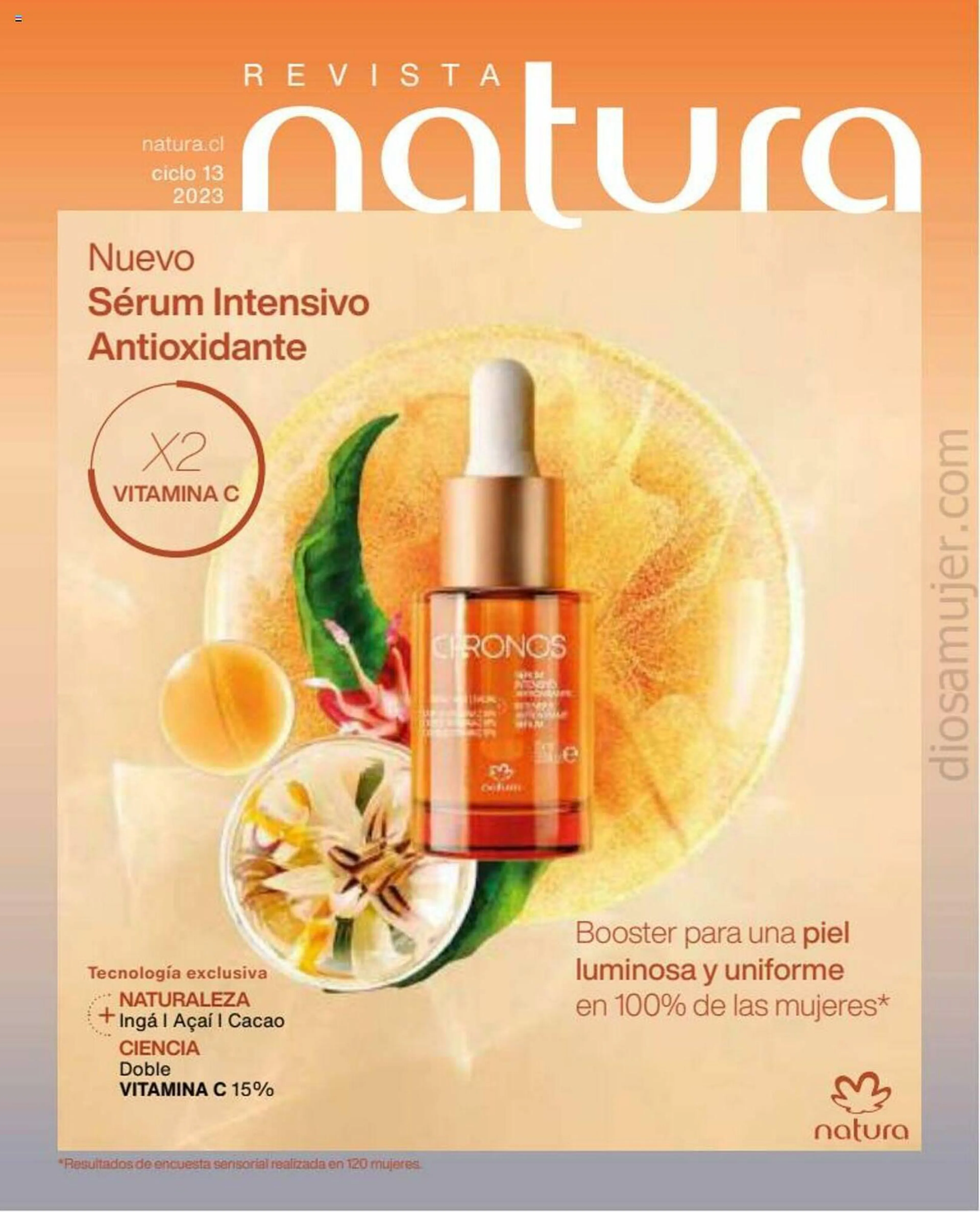 Brochure Cover